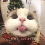 Avatar de Ismael Ceballos